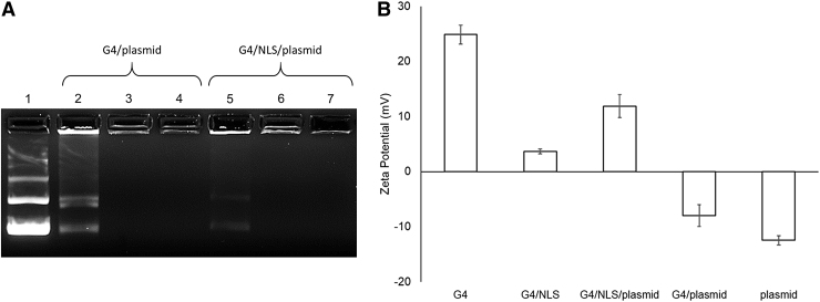 FIG. 2.