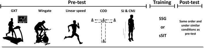 FIGURE 1