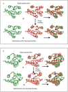 Fig. 3.