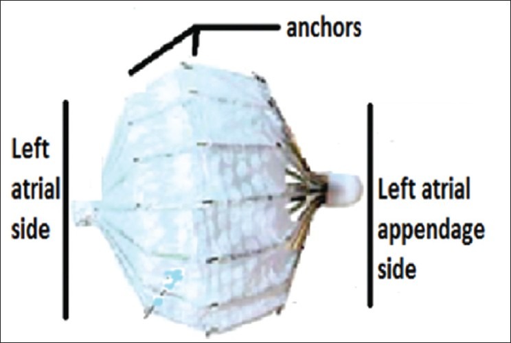 Figure 5