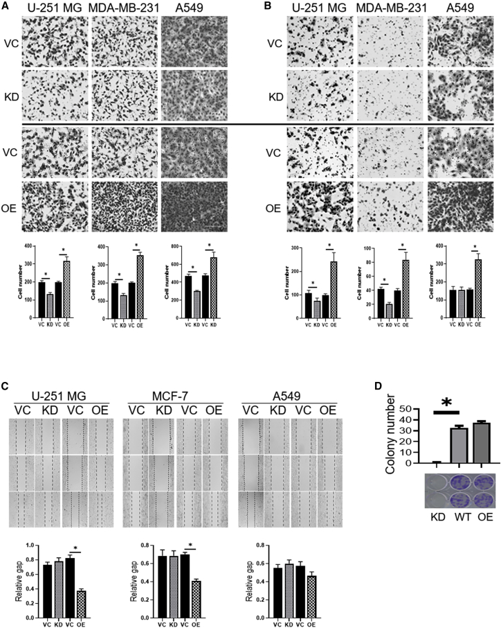 Figure 2