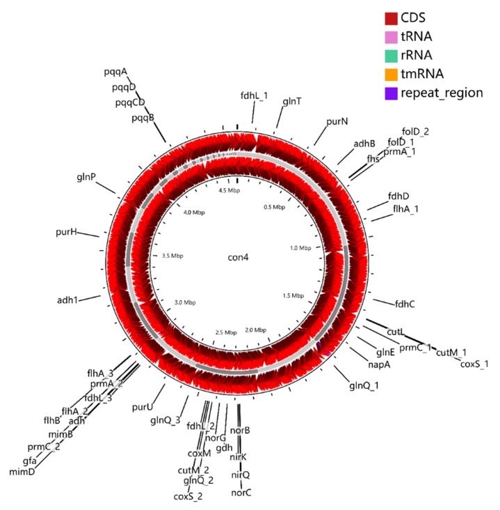 Figure 4