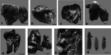 Fig. 1