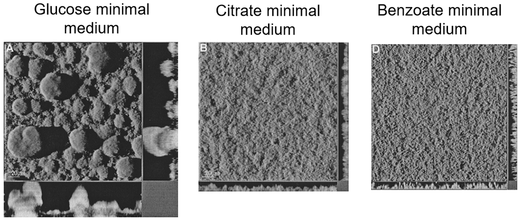 Figure 2,