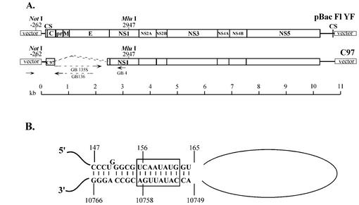 FIG. 2.