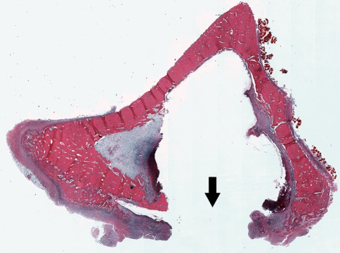 Fig. 3