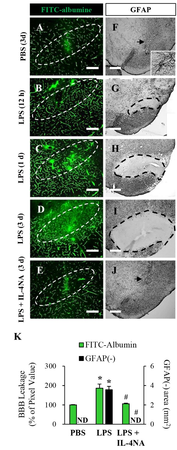 Fig. 5