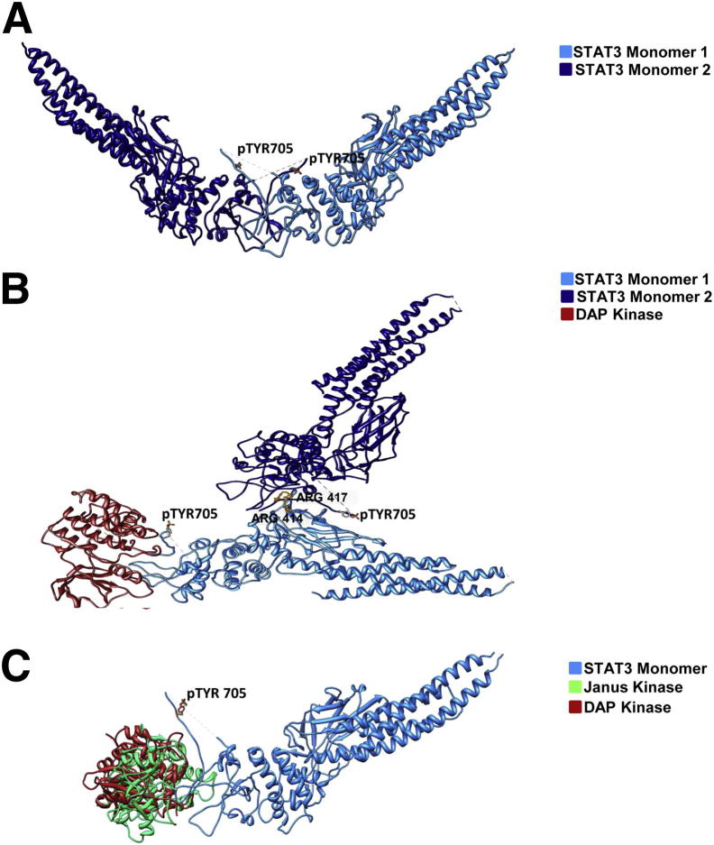 Figure 6