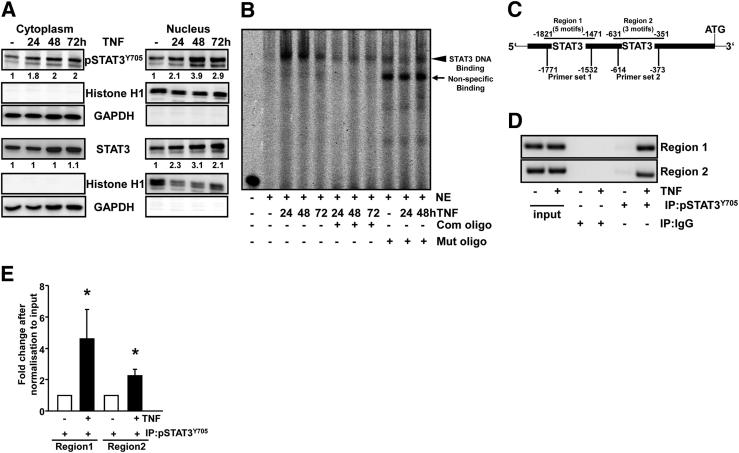 Figure 7