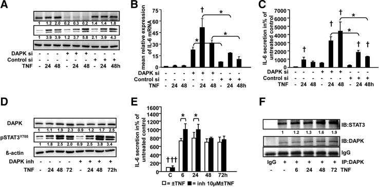 Figure 5