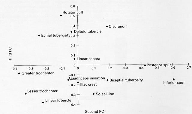 Figure 4  