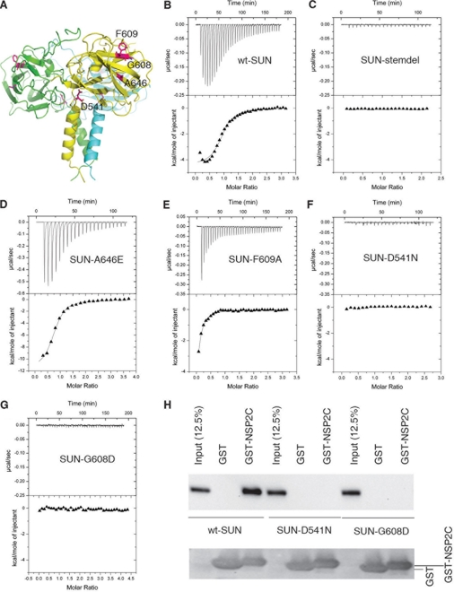 FIGURE 3.