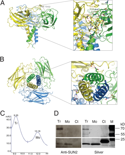 FIGURE 2.