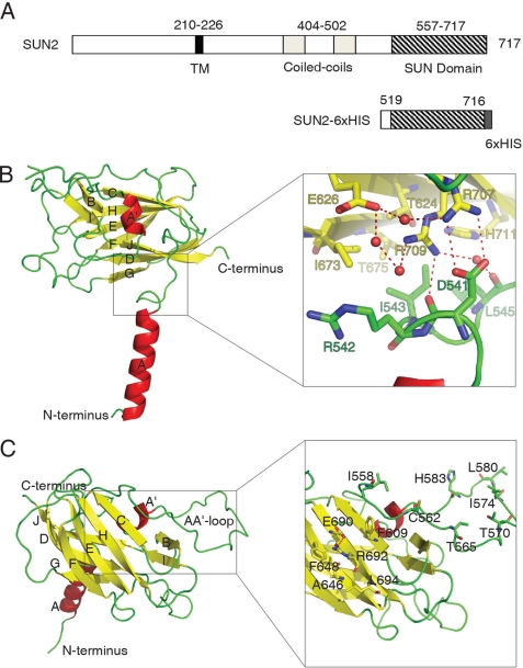 FIGURE 1.