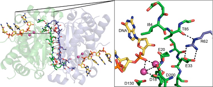 FIGURE 1.