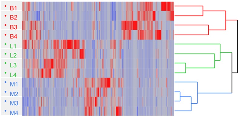 FIGURE 3