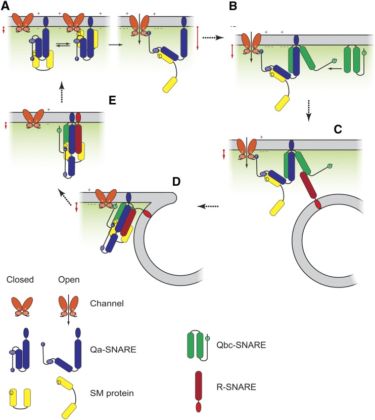 Figure 10.