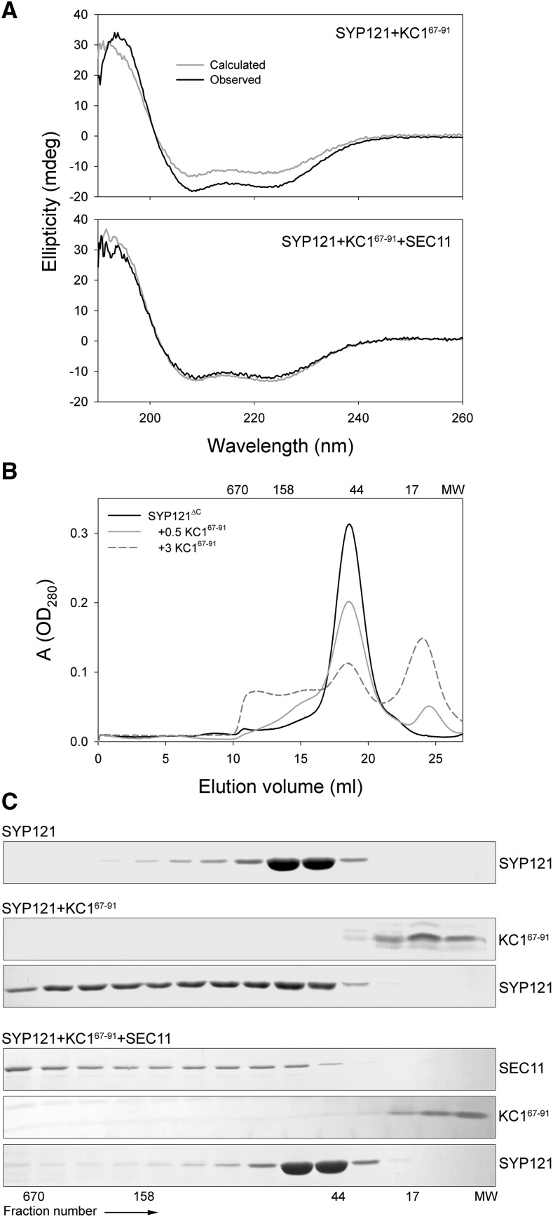 Figure 6.