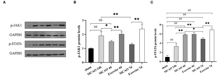 Figure 6