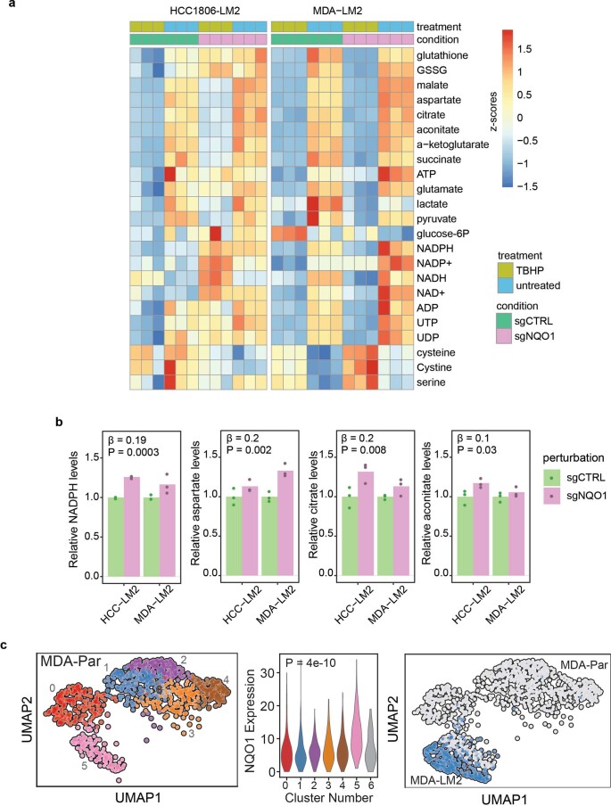 Extended Data Fig. 7