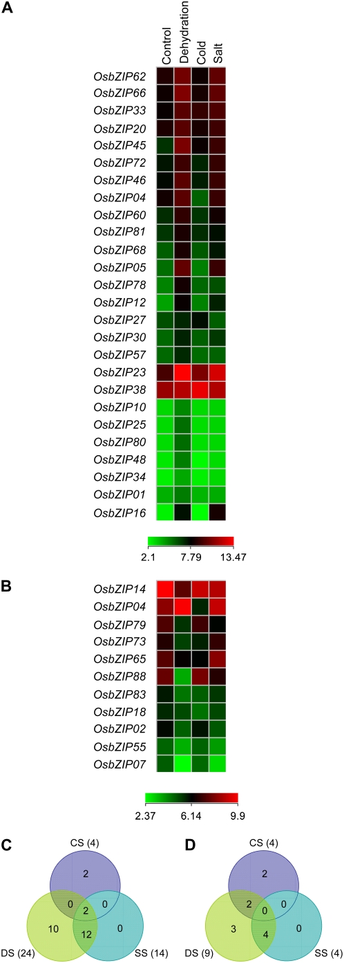 Figure 9.