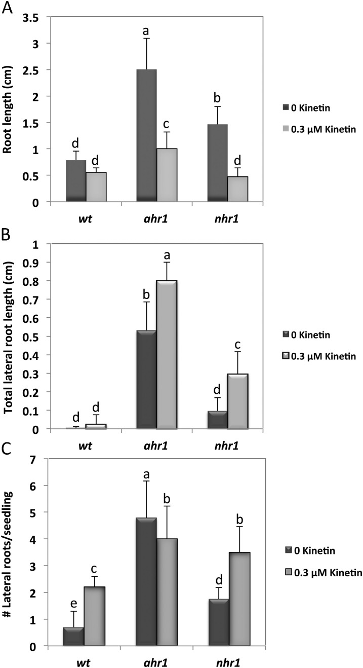 Fig. 11.