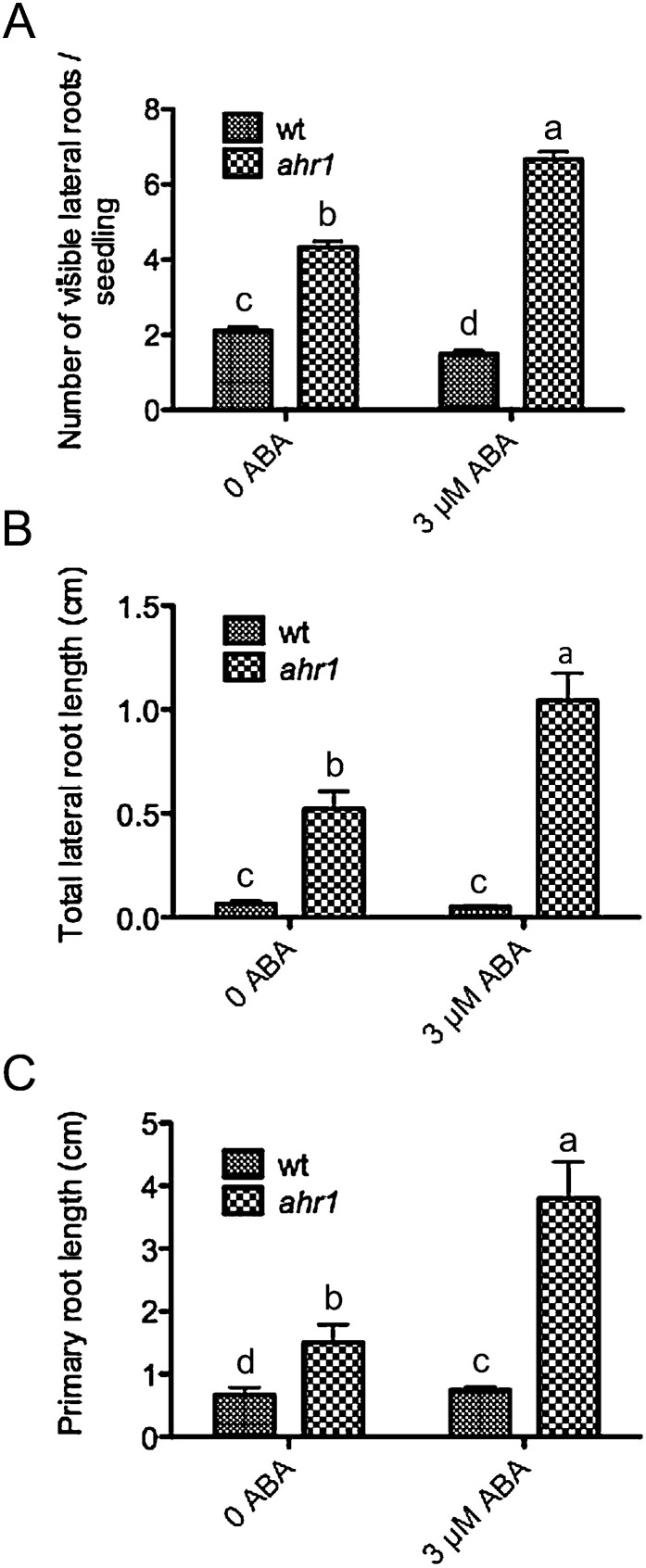 Fig. 9.