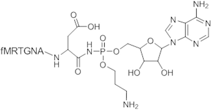 FIG 1