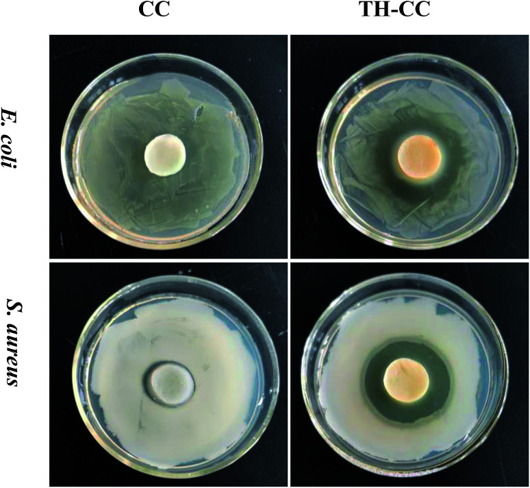 Fig. 7