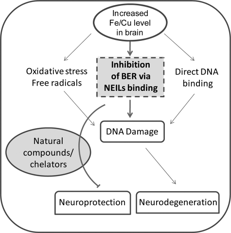 FIGURE 10.