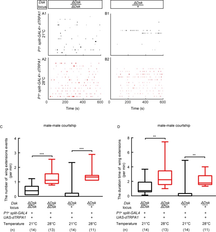 Figure 4—figure supplement 2.