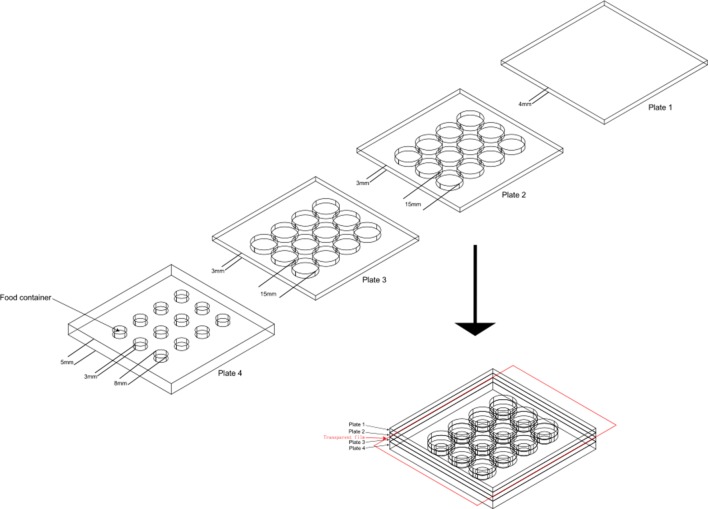 Figure 1—figure supplement 6.