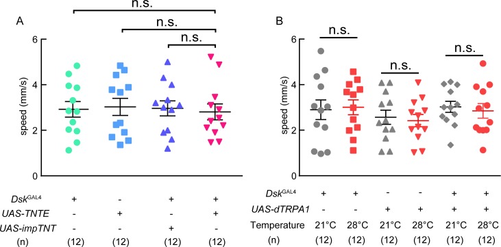 Figure 2—figure supplement 2.