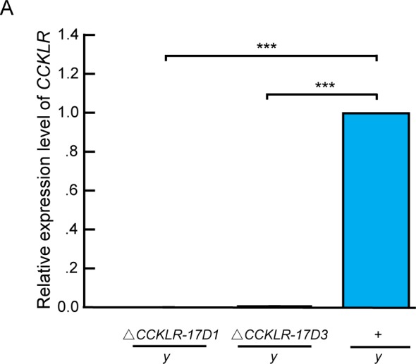 Figure 3—figure supplement 1.