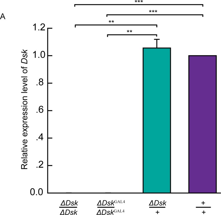 Figure 1—figure supplement 1.