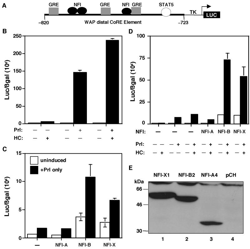 FIG. 3