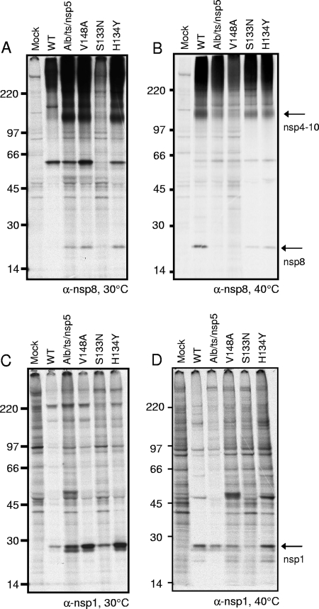 FIG. 4.