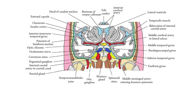 Figure 7