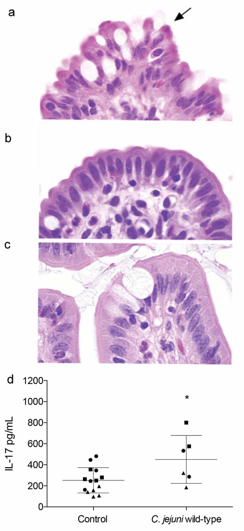 Figure 6.