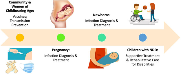 Figure 1: