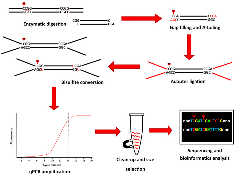 Figure 1.