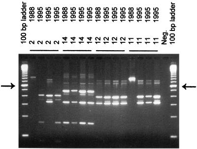 FIG. 5