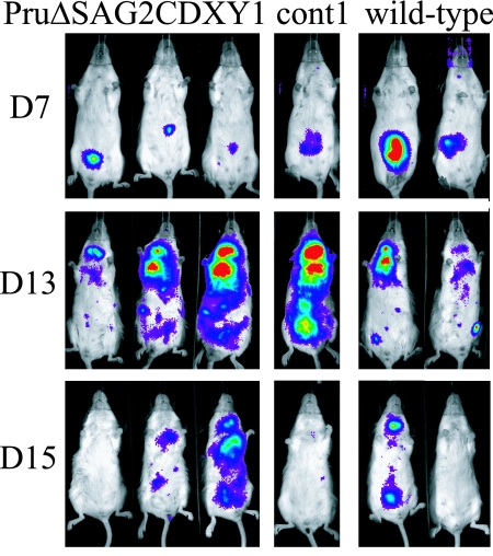 FIG. 7.