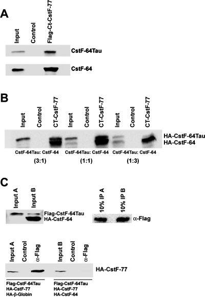 FIGURE 10: