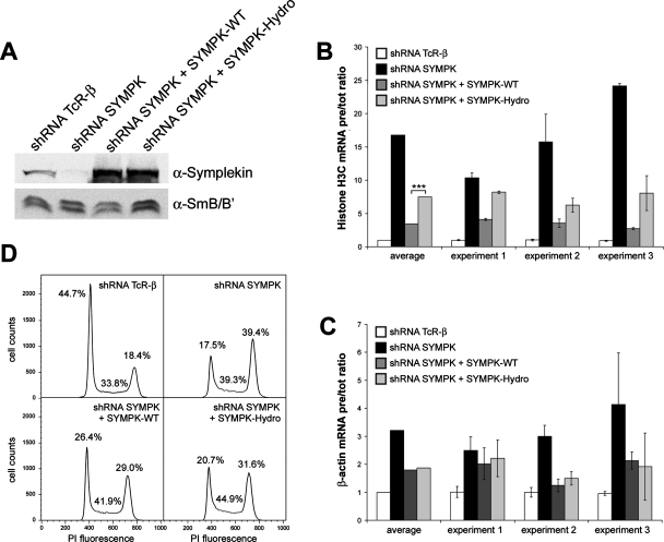 FIGURE 4: