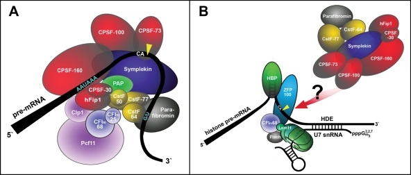 FIGURE 1: