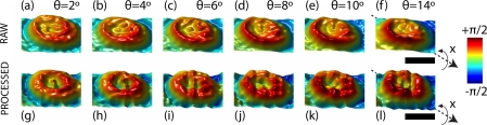 Fig. 8