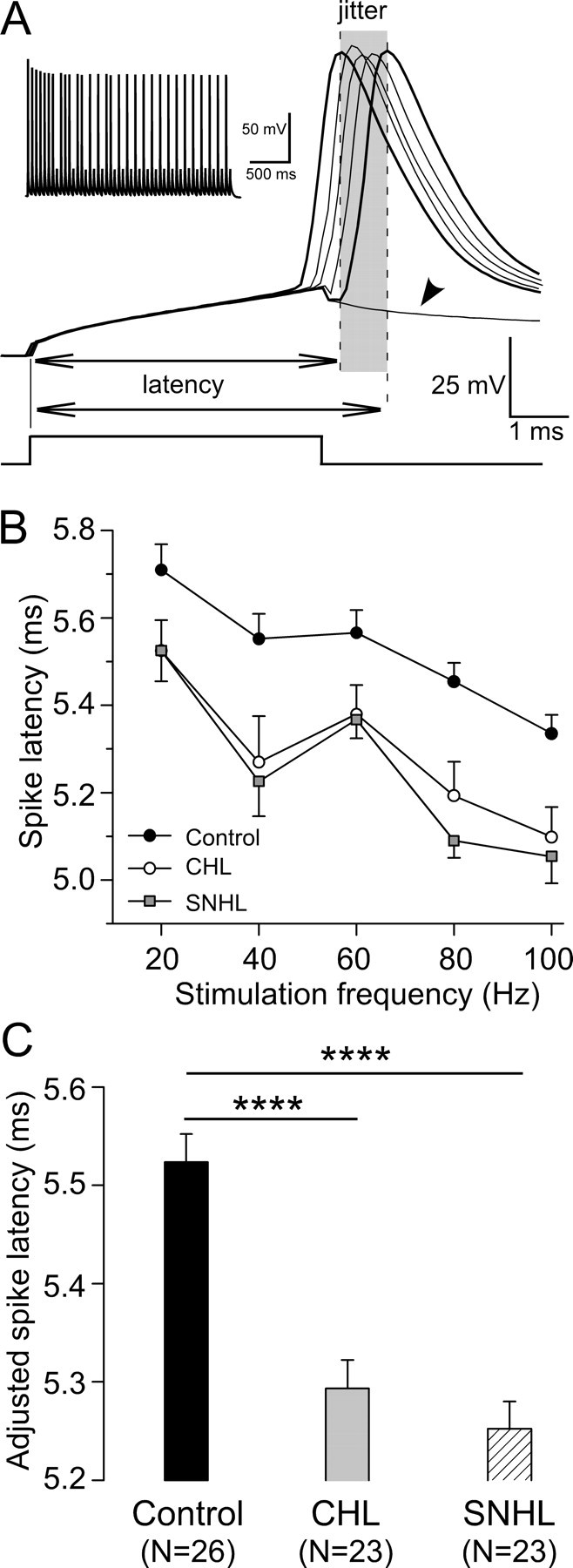 Figure 7.