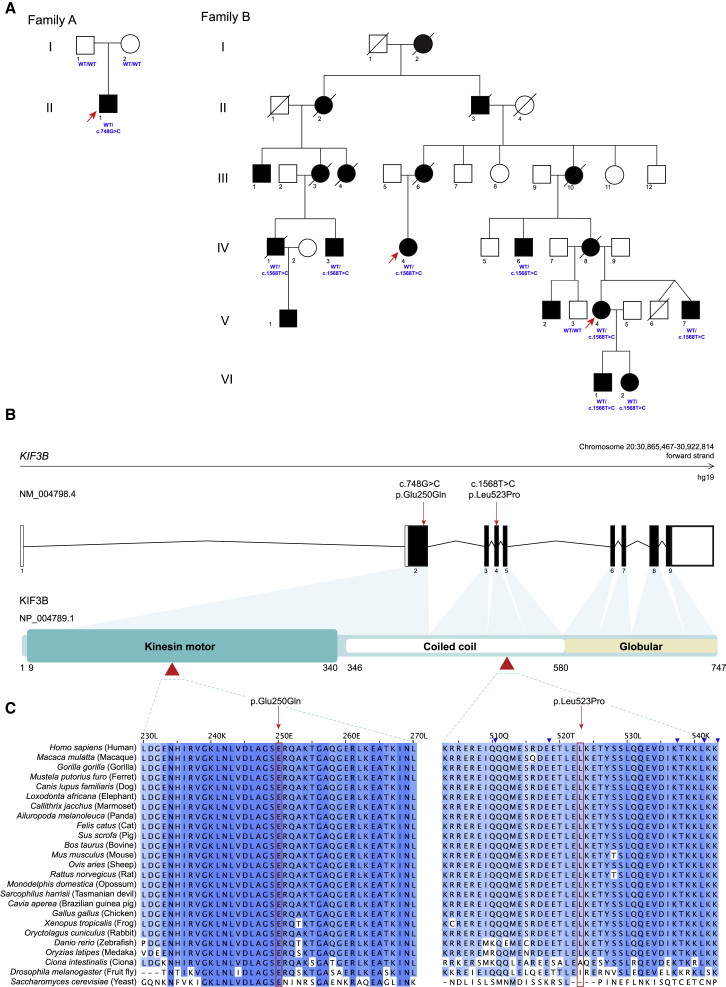 Figure 2