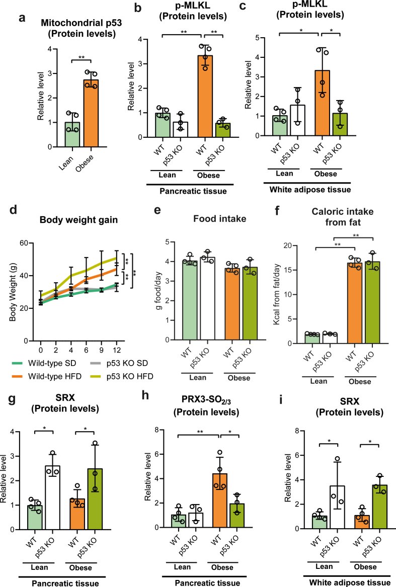 Supplementary Fig. S4